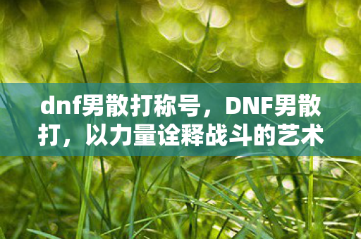dnf男散打称号，DNF男散打，以力量诠释战斗的艺术