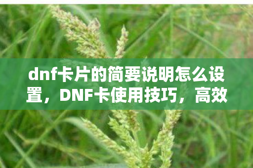dnf卡片的简要说明怎么设置，DNF卡使用技巧，高效利用，提升游戏体验