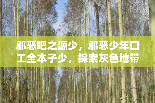 邪恶吧之源少，邪恶少年口工全本子少，探索灰色地带中的另类文化