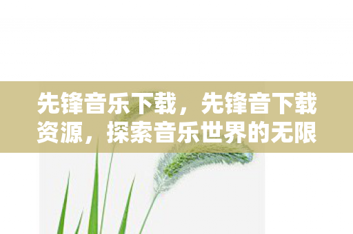 先锋音乐下载，先锋音下载资源，探索音乐世界的无限可能