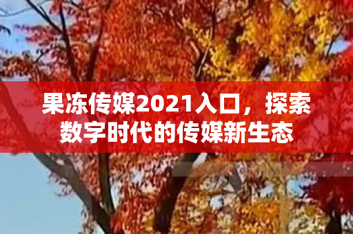 果冻传媒2021入口，探索数字时代的传媒新生态