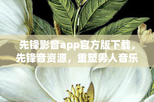 先锋影音app官方版下载，先锋音资源，重塑男人音乐世界的独特魅力