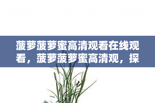 菠萝菠萝蜜高清观看在线观看，菠萝菠萝蜜高清观，探索高清影视的无限可能