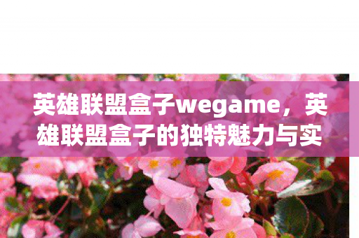 英雄联盟盒子wegame，英雄联盟盒子的独特魅力与实用功能