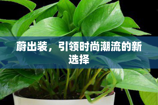 蔚出装，引领时尚潮流的新选择