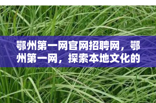鄂州第一网官网招聘网，鄂州第一网，探索本地文化的深度与广度