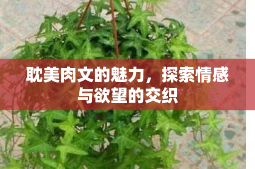 耽美肉文的魅力，探索情感与欲望的交织