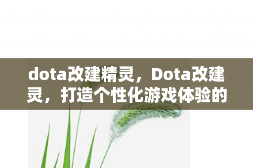 dota改建精灵，Dota改建灵，打造个性化游戏体验的利器