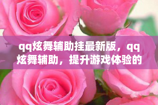 qq炫舞辅助挂最新版，qq炫舞辅助，提升游戏体验的利器
