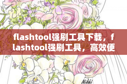 flashtool强刷工具下载，flashtool强刷工具，高效便捷的固件更新解决方案