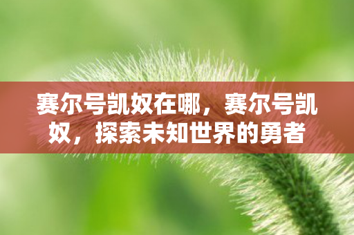 赛尔号凯奴在哪，赛尔号凯奴，探索未知世界的勇者