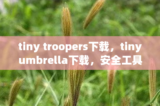 tiny troopers下载，tinyumbrella下载，安全工具的选择与下载指南