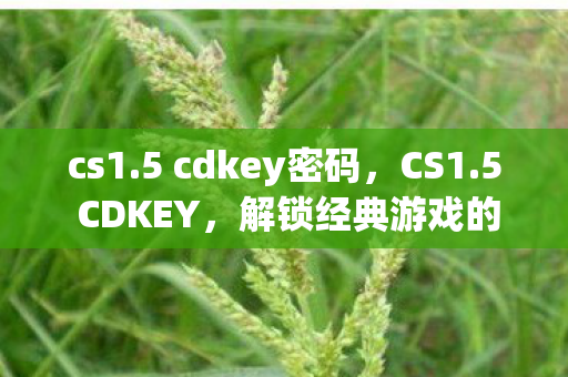 cs1.5 cdkey密码，CS1.5 CDKEY，解锁经典游戏的密钥