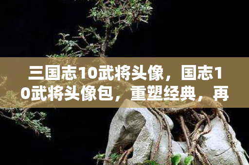 三国志10武将头像，国志10武将头像包，重塑经典，再现历史风采