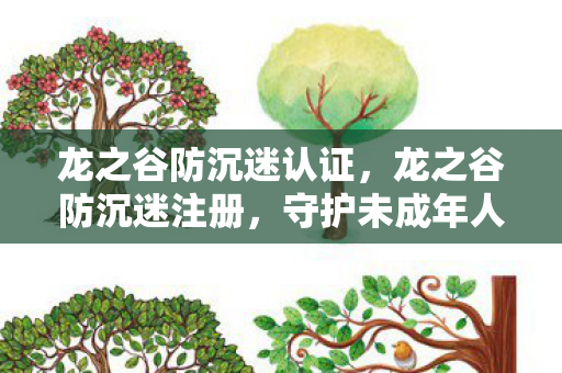 龙之谷防沉迷认证，龙之谷防沉迷注册，守护未成年人的健康游戏环境