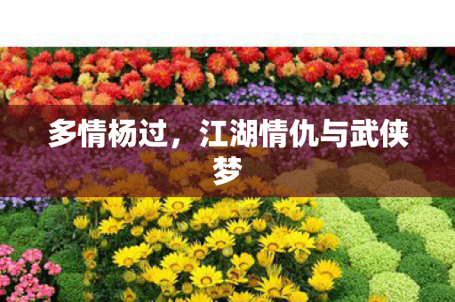 多情杨过，江湖情仇与武侠梦