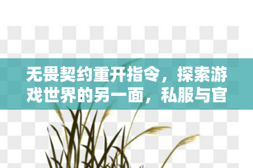 无畏契约重开指令，探索游戏世界的另一面，私服与官方服务器的独特魅力