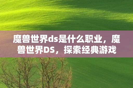 魔兽世界ds是什么职业，魔兽世界DS，探索经典游戏的魅力与未来