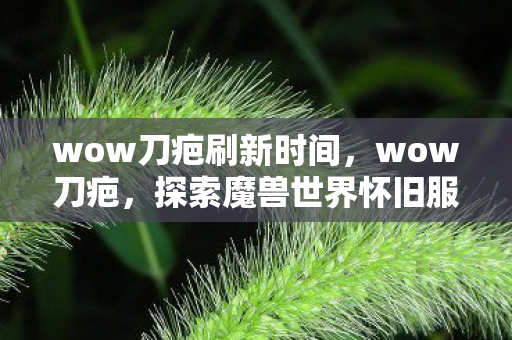 wow刀疤刷新时间，wow刀疤，探索魔兽世界怀旧服中的经典与情怀