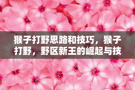 猴子打野思路和技巧，猴子打野，野区新王的崛起与技巧解析