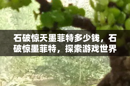 石破惊天墨菲特多少钱，石破惊墨菲特，探索游戏世界的无限可能