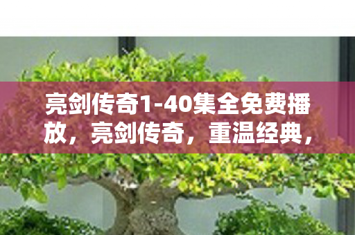 亮剑传奇1-40集全免费播放，亮剑传奇，重温经典，探索未知