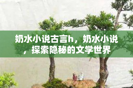 奶水小说古言h，奶水小说，探索隐秘的文学世界
