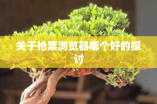 关于抢票浏览器哪个好的探讨