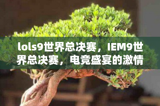 lols9世界总决赛，IEM9世界总决赛，电竞盛宴的激情碰撞