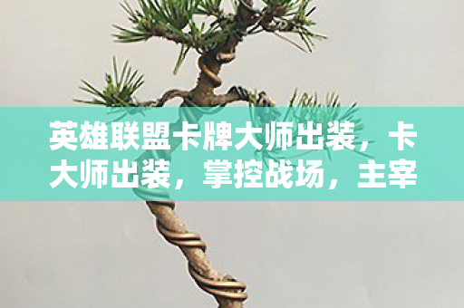 英雄联盟卡牌大师出装，卡大师出装，掌控战场，主宰比赛