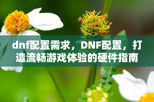 dnf配置需求，DNF配置，打造流畅游戏体验的硬件指南