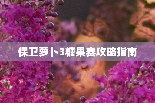 保卫萝卜3糖果赛攻略指南