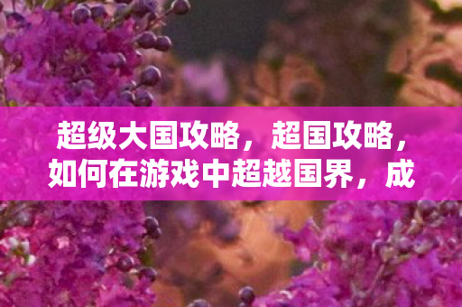 超级大国攻略，超国攻略，如何在游戏中超越国界，成就非凡