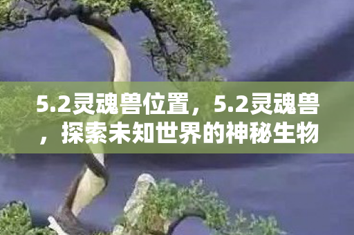 5.2灵魂兽位置，5.2灵魂兽，探索未知世界的神秘生物