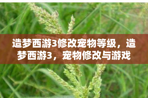 造梦西游3修改宠物等级，造梦西游3，宠物修改与游戏乐趣的平衡