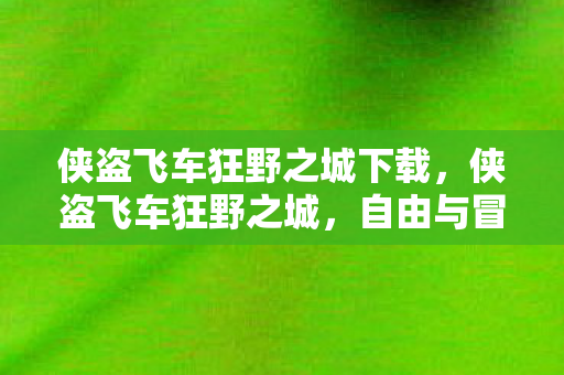 侠盗飞车狂野之城下载，侠盗飞车狂野之城，自由与冒险的极限之旅