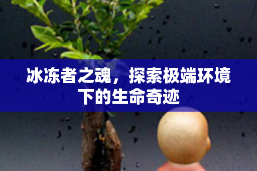 冰冻者之魂，探索极端环境下的生命奇迹