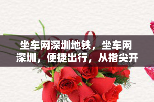 坐车网深圳地铁，坐车网 深圳，便捷出行，从指尖开始