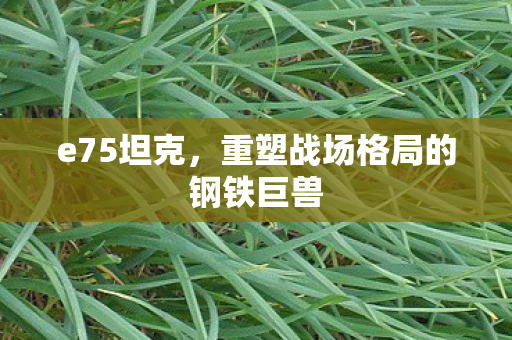 e75坦克，重塑战场格局的钢铁巨兽