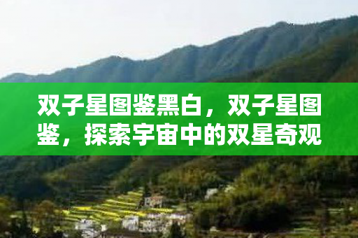 双子星图鉴黑白，双子星图鉴，探索宇宙中的双星奇观