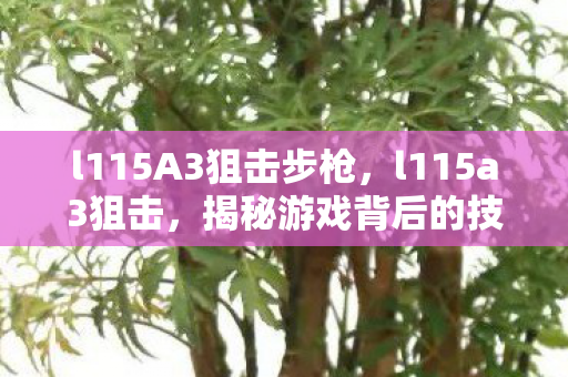l115A3狙击步枪，l115a3狙击，揭秘游戏背后的技术细节与策略