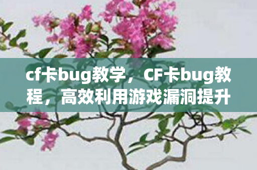 cf卡bug教学，CF卡bug教程，高效利用游戏漏洞提升游戏体验