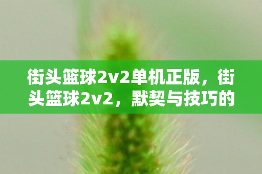 街头篮球2v2单机正版，街头篮球2v2，默契与技巧的碰撞
