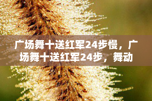 广场舞十送红军24步慢，广场舞十送红军24步，舞动红色经典，传承革命精神