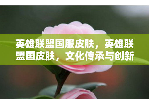 英雄联盟国服皮肤，英雄联盟国皮肤，文化传承与创新的视觉盛宴