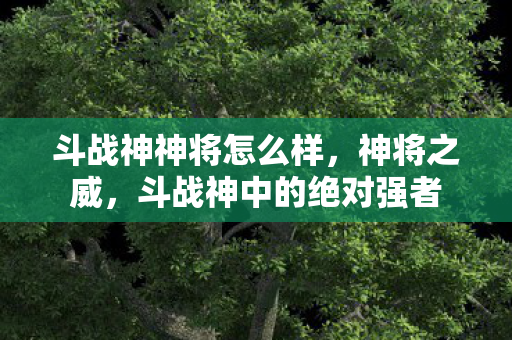 斗战神神将怎么样，神将之威，斗战神中的绝对强者