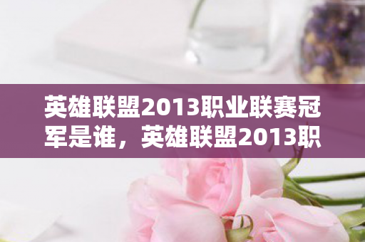 英雄联盟2013职业联赛冠军是谁，英雄联盟2013职业联赛，荣耀与梦想的舞台