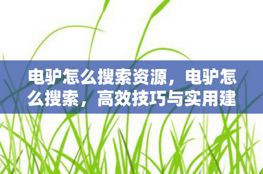 电驴怎么搜索资源，电驴怎么搜索，高效技巧与实用建议