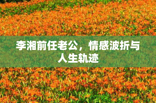 李湘前任老公，情感波折与人生轨迹