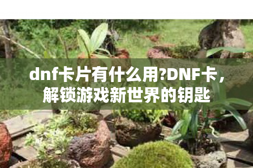 dnf卡片有什么用?DNF卡，解锁游戏新世界的钥匙